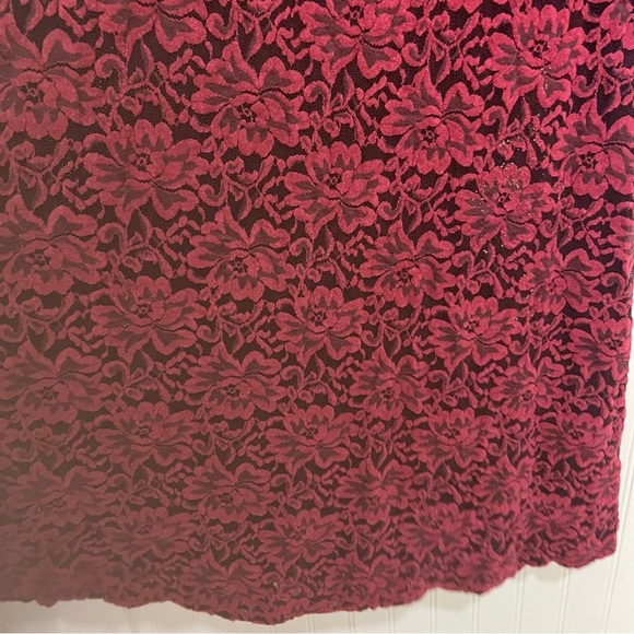 Meadow Rue Burgundy Lace A-Line Skirt - Picture 2 of 6